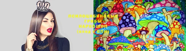 герыч Богородицк
