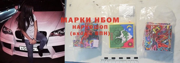 молекула духа Нефтекумск