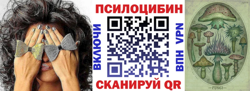 продажа наркотиков  Бугульма  Псилоцибиновые грибы GOLDEN TEACHER 